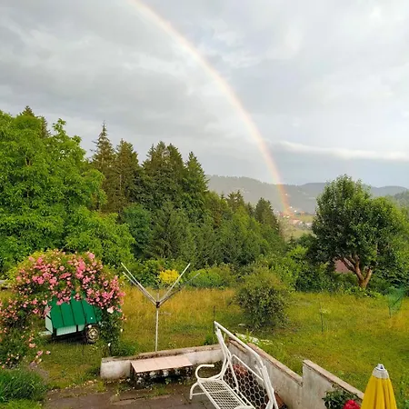 La Terrasse Fleurie * Le Tholy