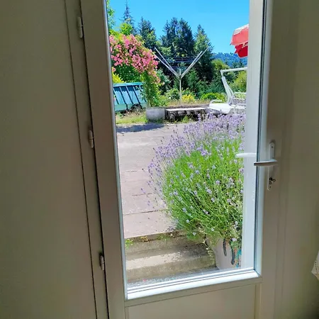 La Terrasse Fleurie Apartment *